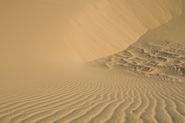 Voyage d'art dans le Sahara