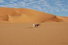 Rmurzuk - Hoggar dans le désert du Sahara