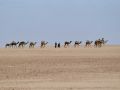 caravanne