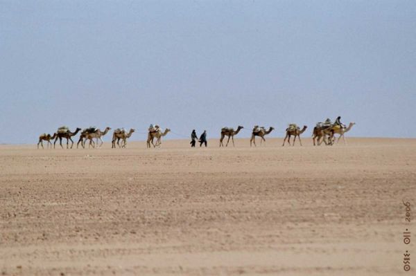 caravanne